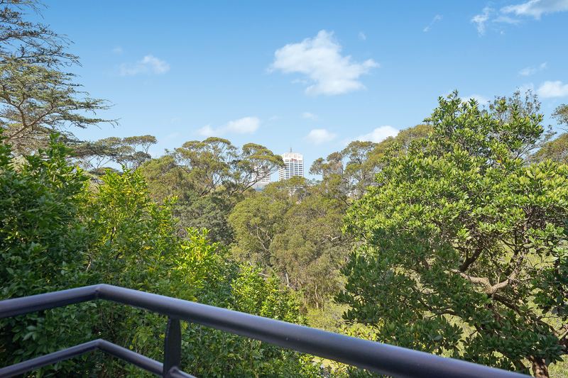 Treetop view over Cooper Park from a balcony, with a city tower in the distance